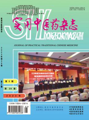 实用中医药期刊